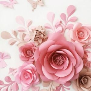 Meet your Posher, Wanda